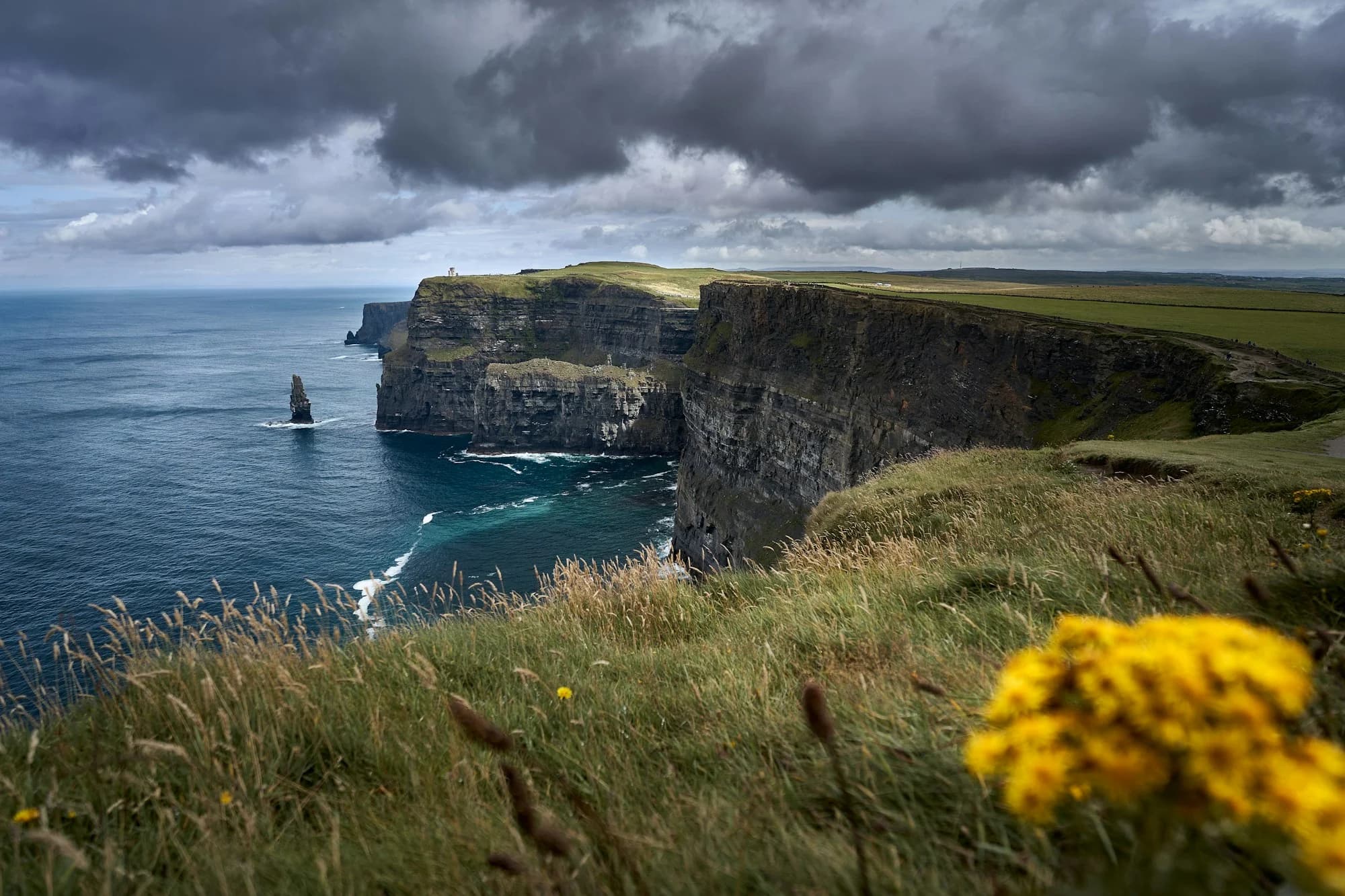 Cliffs of Moher coastline on a private chauffeur tour