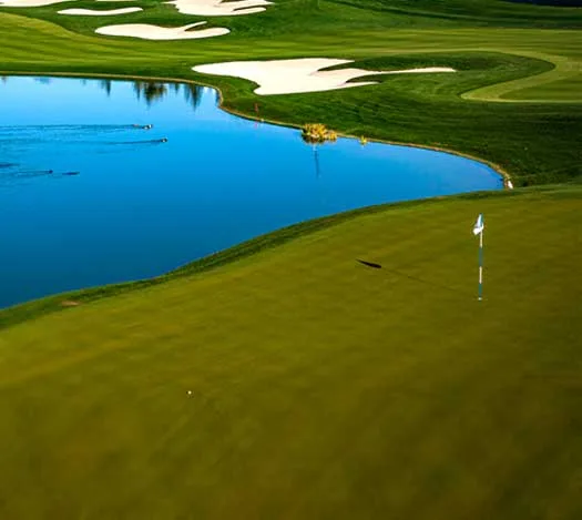 Golf green with a flag in evening light