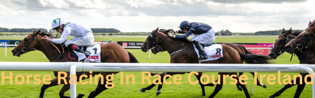 Horse Racing In Race Course Ireland
