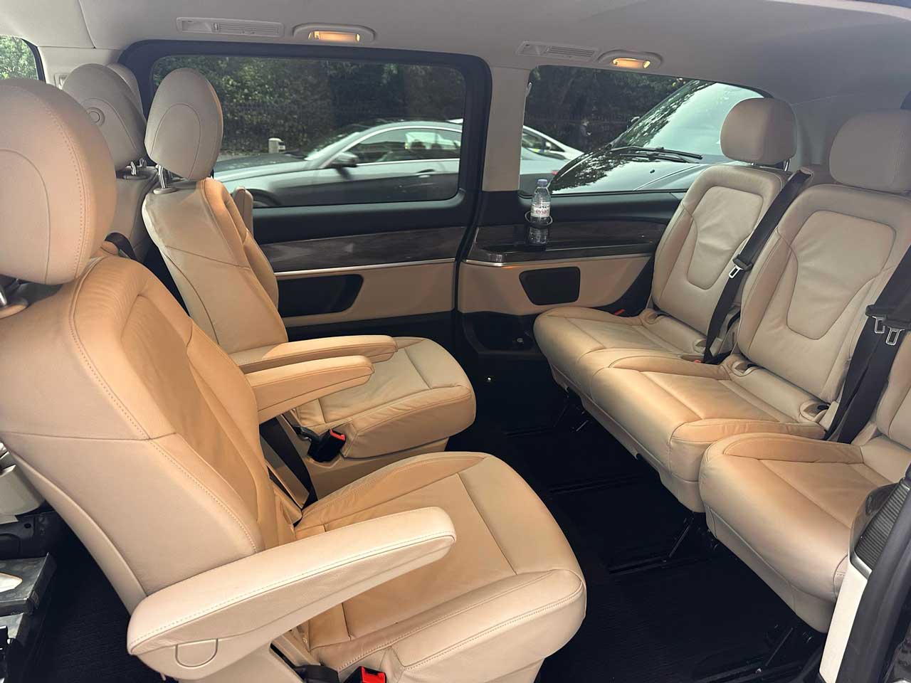 ABOUT US 2 elite chaff inside
