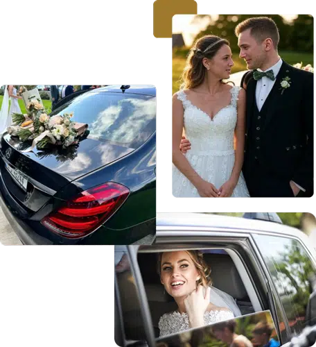 Home 36 opt wedding elite chaff